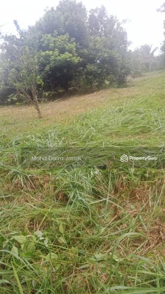 For Sale - Non-Bumi,Dusun Durian,Jalan Konkrit-Kuala Kubu,Selangor