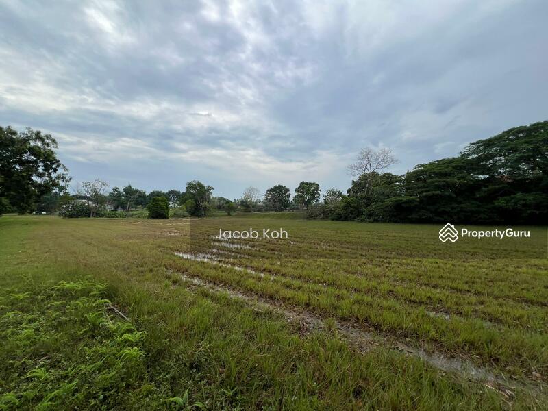 Residential Land for Sale in Leisure Farm (Gelang Patah) - Jacob Koh - PropertyGuru.com.my