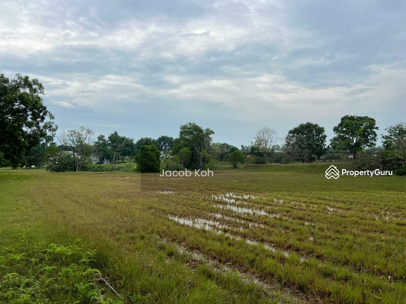 Residential Land for Sale in Leisure Farm (Gelang Patah) - Jacob Koh - PropertyGuru.com.my