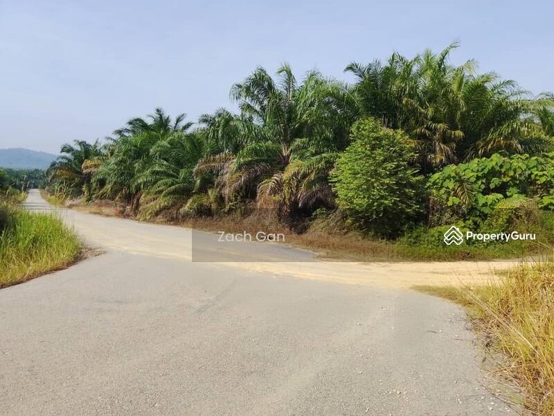 Untuk Dijual - Lumut