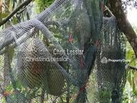 For Rent - Tanarimba, Janda Baik