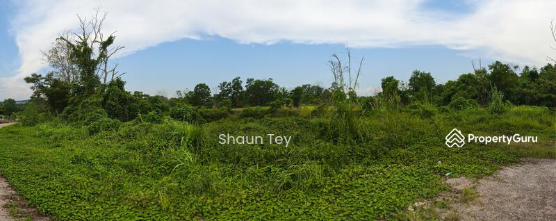 Agricultural Land for Sale in Ulu Choh (Jeram Batu) - Shaun Tey - PropertyGuru.com.my