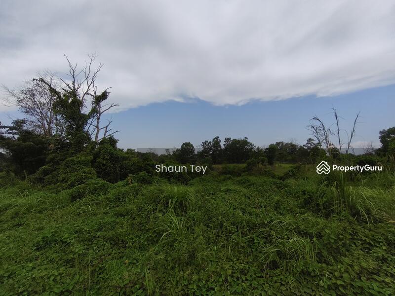 Agricultural Land for Sale in Ulu Choh (Jeram Batu) - Shaun Tey - PropertyGuru.com.my