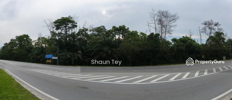 Agricultural Land for Sale in Ulu Choh (Jeram Batu) - Shaun Tey - PropertyGuru.com.my