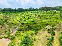 For Sale - Durian Tunggal, Melaka