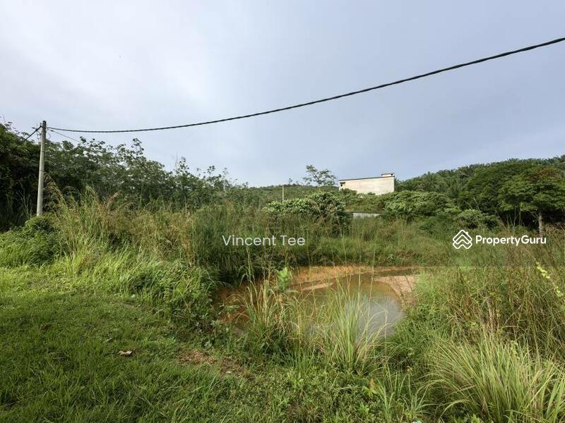 For Sale - 2 Acres Land Swallow House Kerambit Kuala Lipis