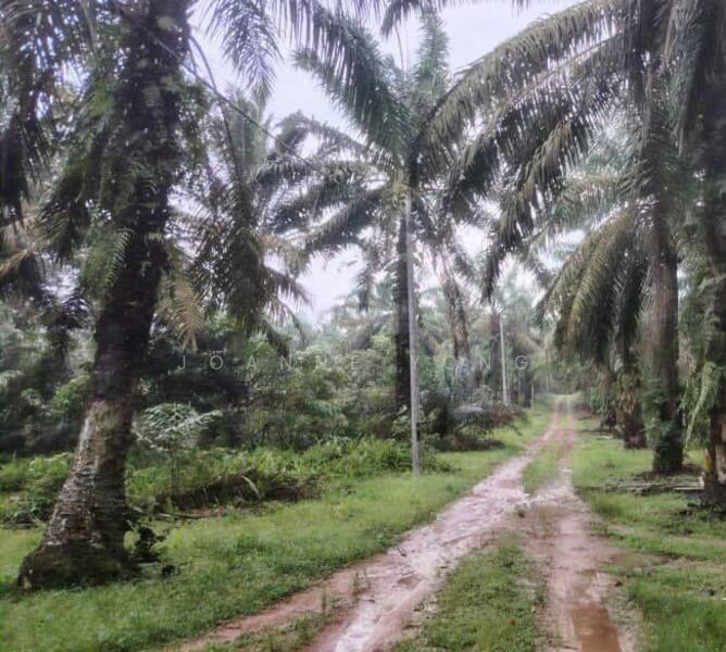 For Sale - 4 Acres Agriculture Zoning Industrial Land @ Simpang Renggam, Johor