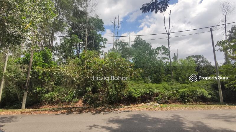 For Sale - Rasah Kemayan
