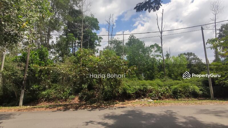 For Sale - Rasah Kemayan