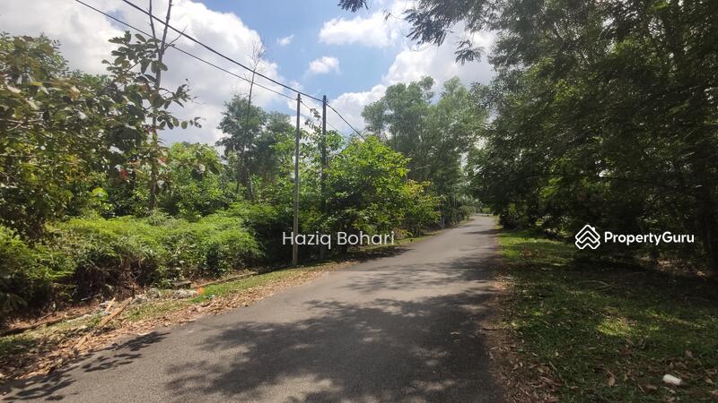 For Sale - Rasah Kemayan