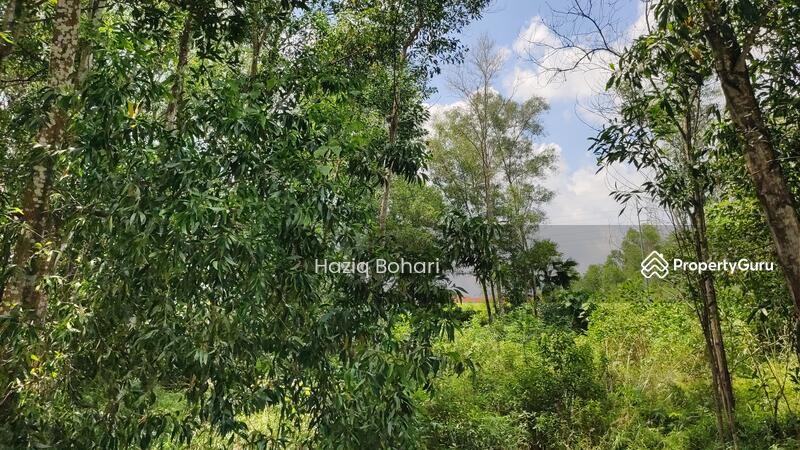 For Sale - Rasah Kemayan