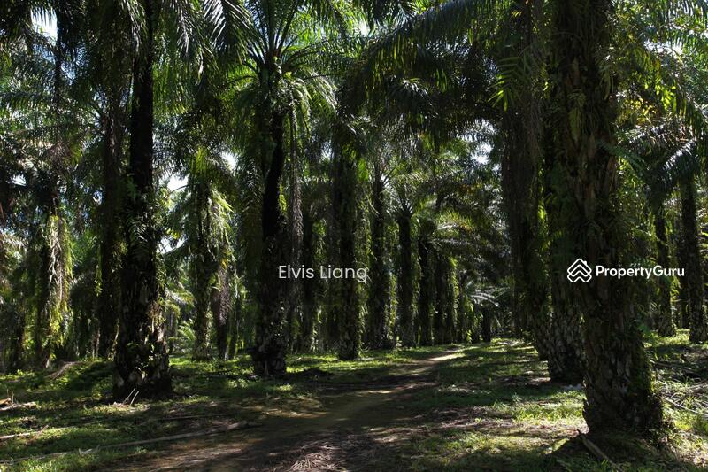 For Sale - Industrial land at Sri Plentong