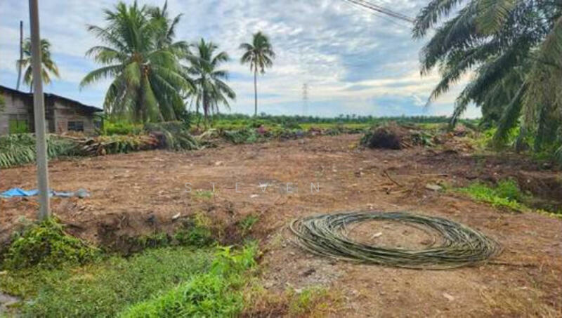 Untuk Dijual - Bagan Serai Freehold Agricultural Land Beside Main Road 3.445acres