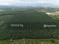 For Sale - Pendang Sebelah Maktab Rendah Sains Mara