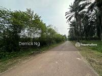 For Sale - Pendang Sebelah Maktab Rendah Sains Mara Tanah Pokok Sawit