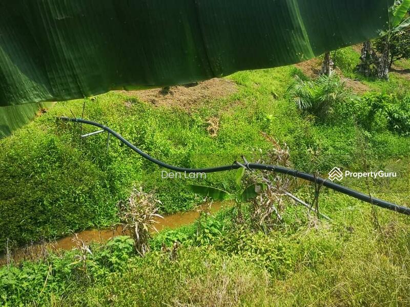 raub Durian Farm Agriculture land for sale ! untuk Untuk Dijual - RM 5,600,000, Feb 2026 - PropertyGuru.com.my