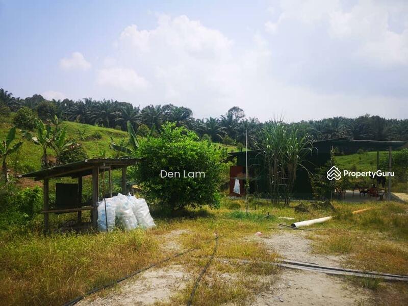 raub Durian Farm Agriculture land for sale ! untuk Untuk Dijual - RM 5,600,000, Feb 2026 - PropertyGuru.com.my