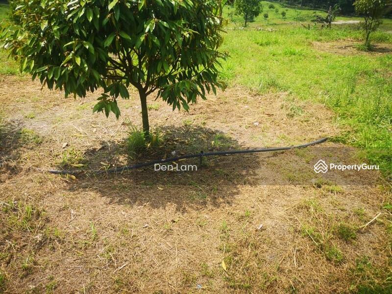 raub Durian Farm Agriculture land for sale ! untuk Untuk Dijual - RM 5,600,000, Feb 2026 - PropertyGuru.com.my