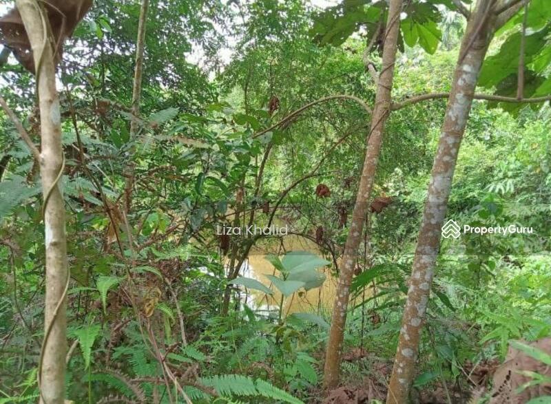 For Sale - Jalan Batang Kali Ke Genting