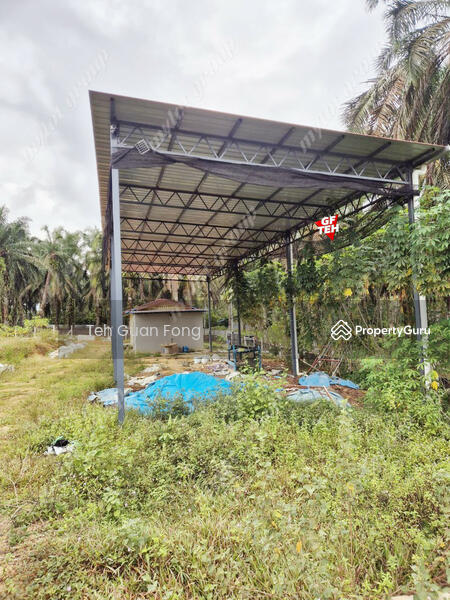 Tanah Pertanian untuk Dijual di Bandar Baharu (Kedah) - Teh Guan Fong - PropertyGuru.com.my