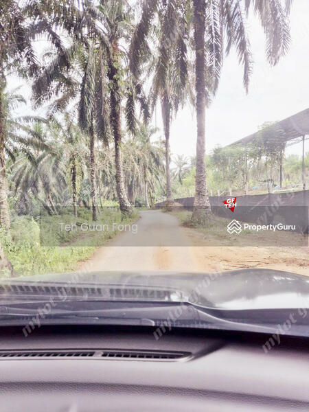 Tanah Pertanian untuk Dijual di Bandar Baharu (Kedah) - Teh Guan Fong - PropertyGuru.com.my
