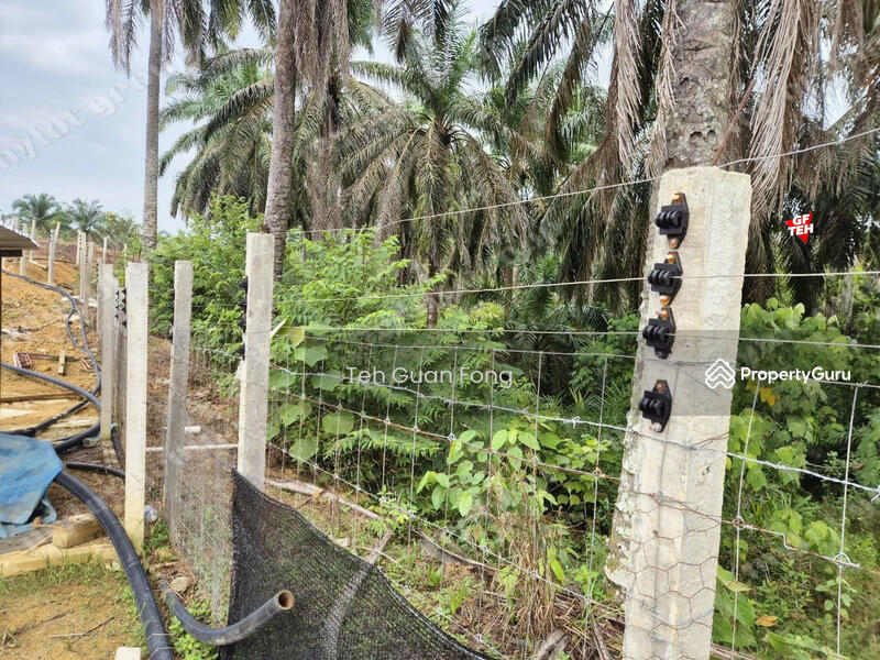 Tanah Pertanian untuk Dijual di Bandar Baharu (Kedah) - Teh Guan Fong - PropertyGuru.com.my