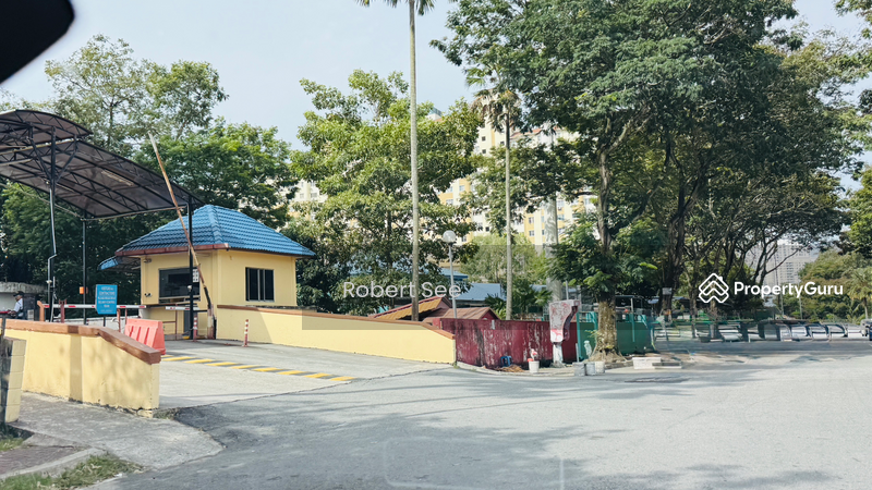 For Sale - Vista Lavender