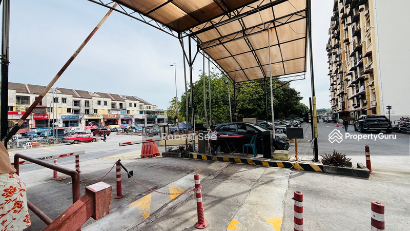 For Sale - Vista Lavender