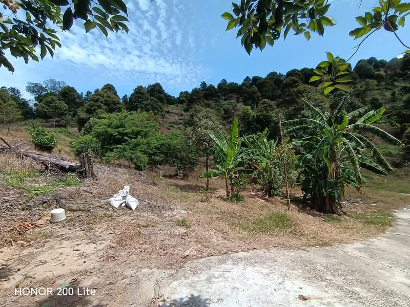 Agricultural Land for Sale in Kampung Sungai Pinang (Balik Pulau) - Moses Chang - PropertyGuru.com.my