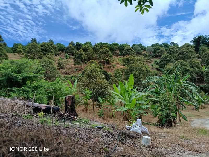 Agricultural Land for Sale in Kampung Sungai Pinang (Balik Pulau) - Moses Chang - PropertyGuru.com.my