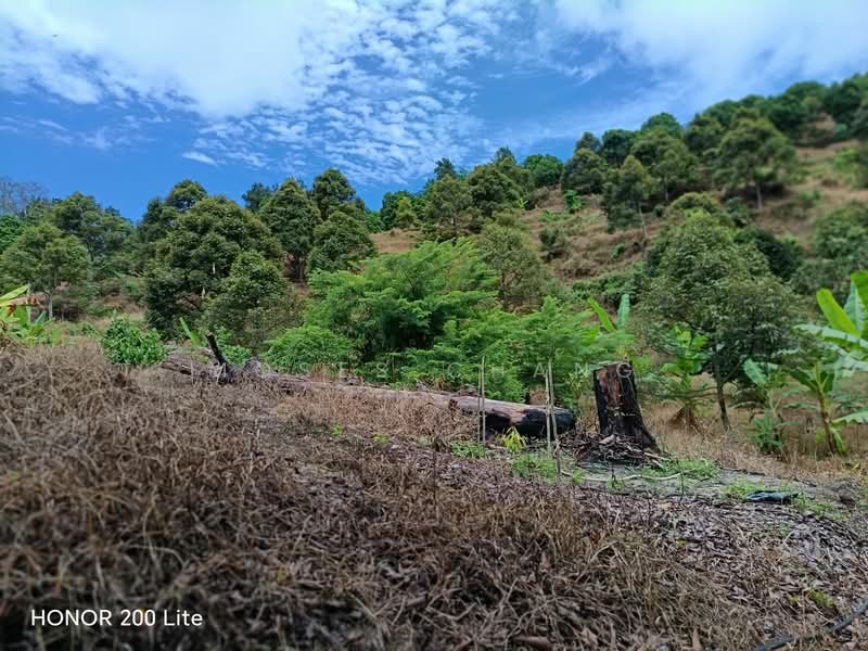 Agricultural Land for Sale in Kampung Sungai Pinang (Balik Pulau) - Moses Chang - PropertyGuru.com.my