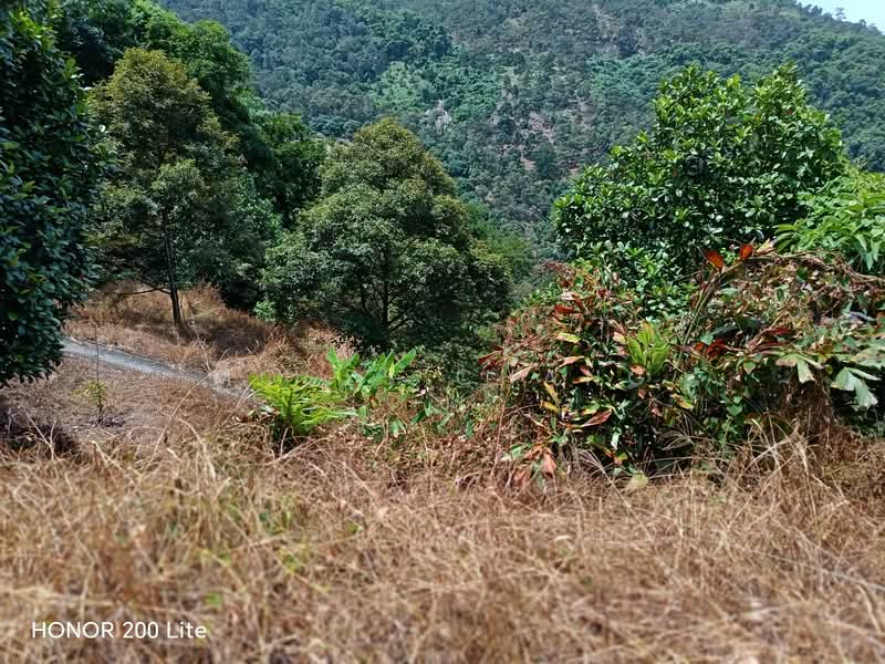 Agricultural Land for Sale in Kampung Sungai Pinang (Balik Pulau) - Moses Chang - PropertyGuru.com.my