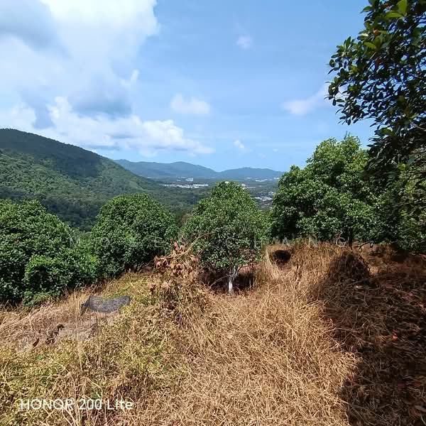 Agricultural Land for Sale in Kampung Sungai Pinang (Balik Pulau) - Moses Chang - PropertyGuru.com.my