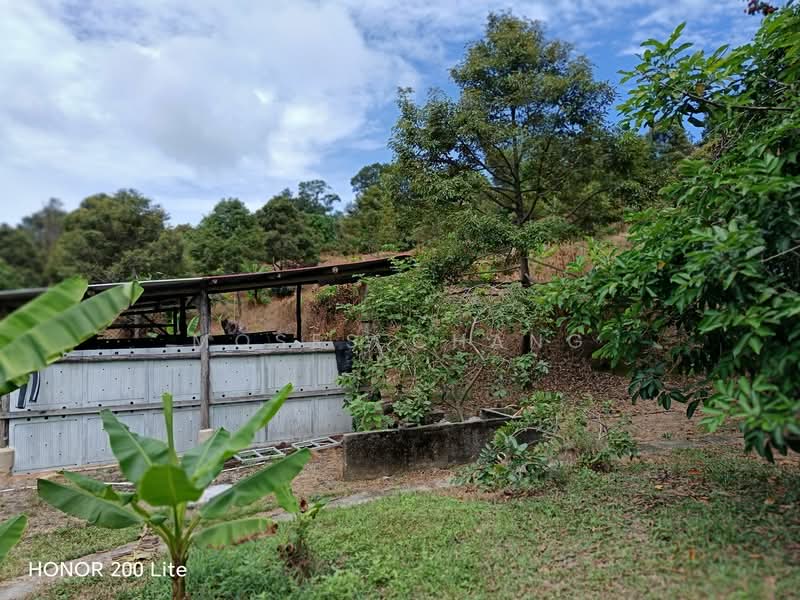 Agricultural Land for Sale in Kampung Sungai Pinang (Balik Pulau) - Moses Chang - PropertyGuru.com.my