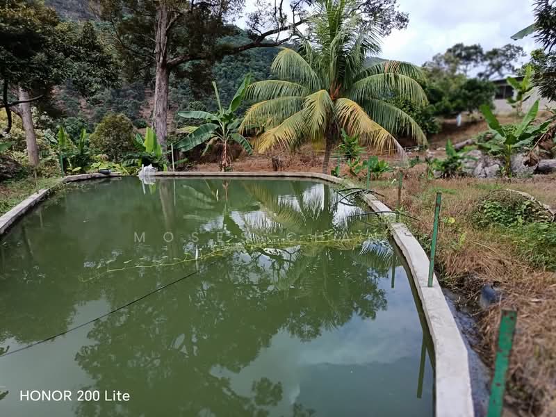 Agricultural Land for Sale in Kampung Sungai Pinang (Balik Pulau) - Moses Chang - PropertyGuru.com.my