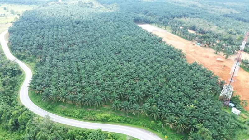 Tanah Pertanian untuk Dijual di Kampung Lukut (Kota Tinggi) - SASER TAN. - Exterior - PropertyGuru.com.my