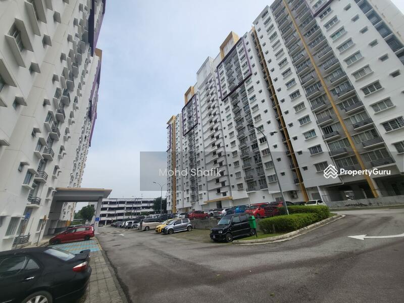 For Sale - De Palma