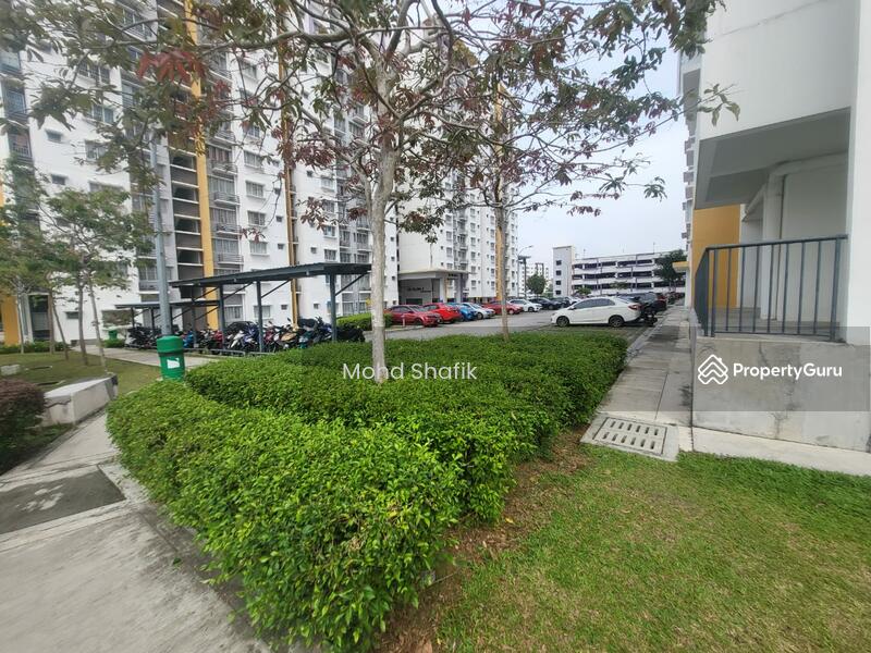 For Sale - De Palma