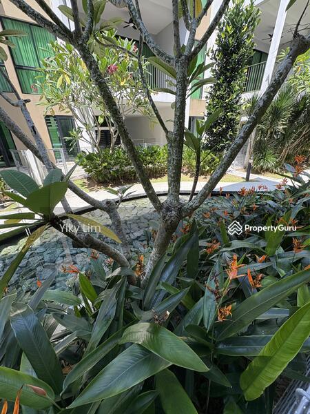 For Rent - Leisure Farm