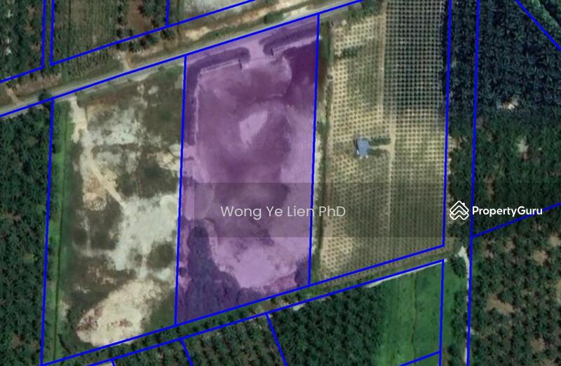 www.drwongproperty.com