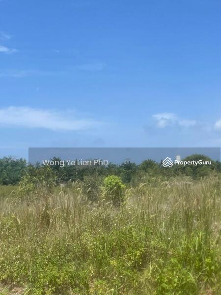www.drwongproperty.com