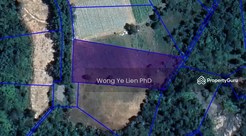 www.drwongproperty.com