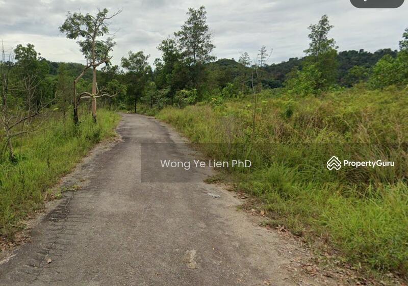 www.drwongproperty.com