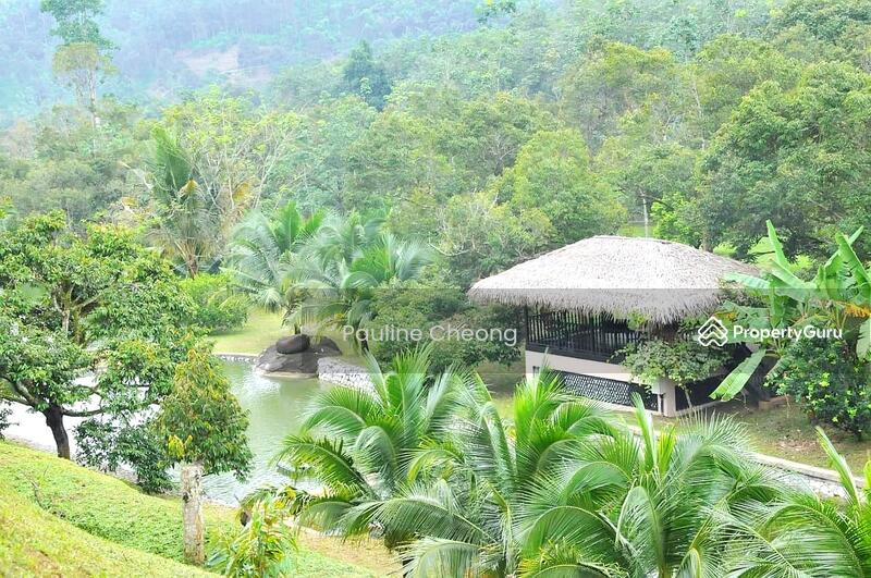 For Sale - Durian Land Musang King Beautiful Estate in Raub