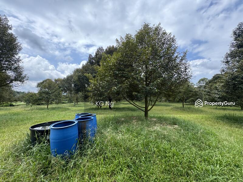 For Sale - Mantin Seremban Negeri Sembilan Durian Farm For Sale.