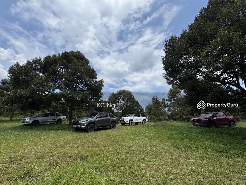 For Sale - Mantin Seremban Negeri Sembilan Durian Farm For Sale.