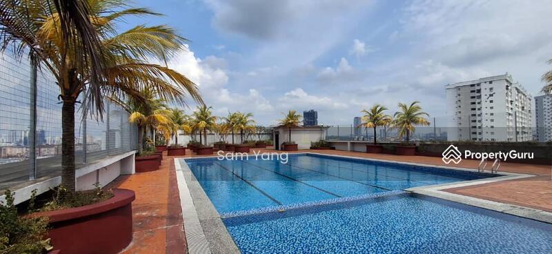 Roof top palm tree swimming pool.