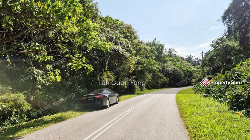 Agricultural Land for Sale in Kampung Banggol Wan Mat (Baling) - Teh Guan Fong - PropertyGuru.com.my