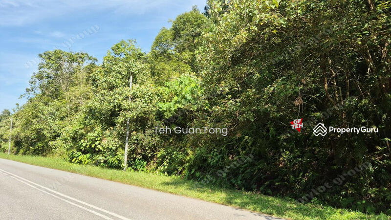 Agricultural Land for Sale in Kampung Banggol Wan Mat (Baling) - Teh Guan Fong - PropertyGuru.com.my