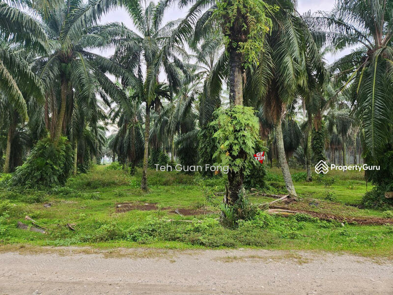 Tanah Perindustrian untuk Dijual di Valdor (Sungai Jawi) - Teh Guan Fong - PropertyGuru.com.my